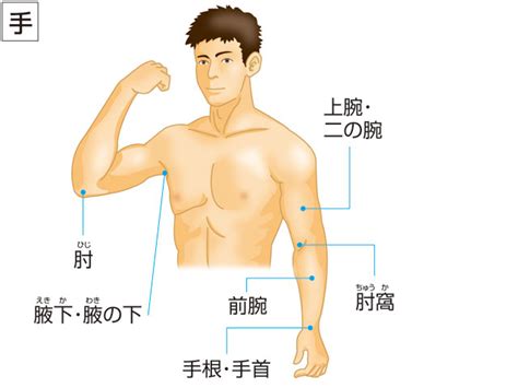 腋下 読み方|腋の下(わきのした)とは？ 意味や使い方